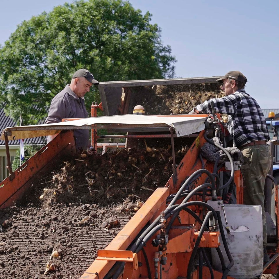 De oogst is weer begonnen