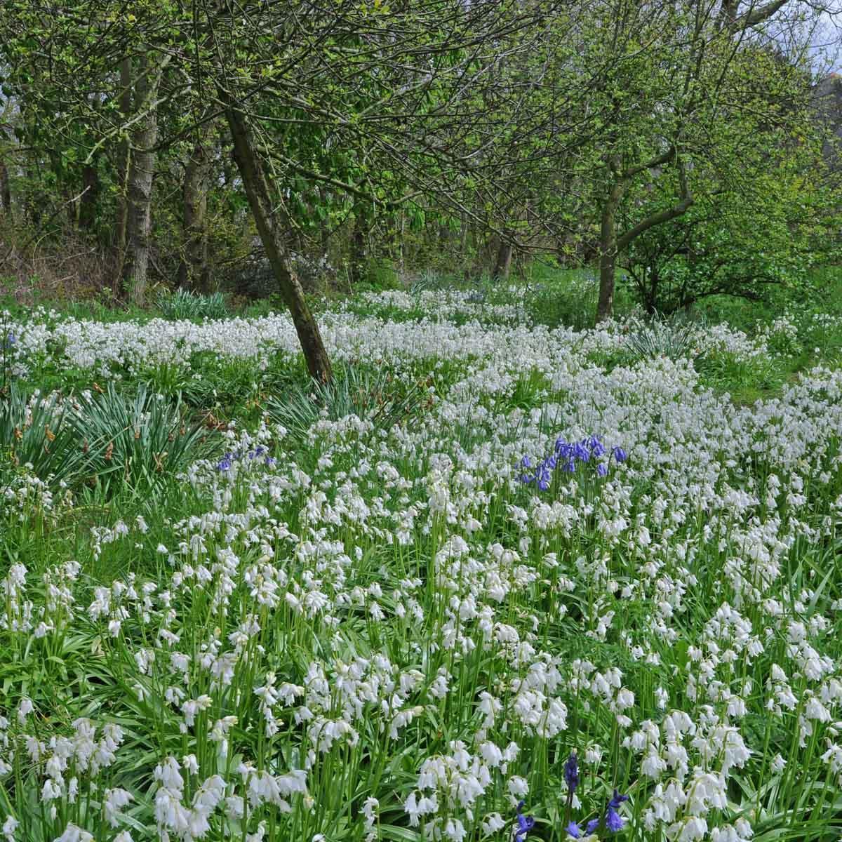 Stilte voor de storm.