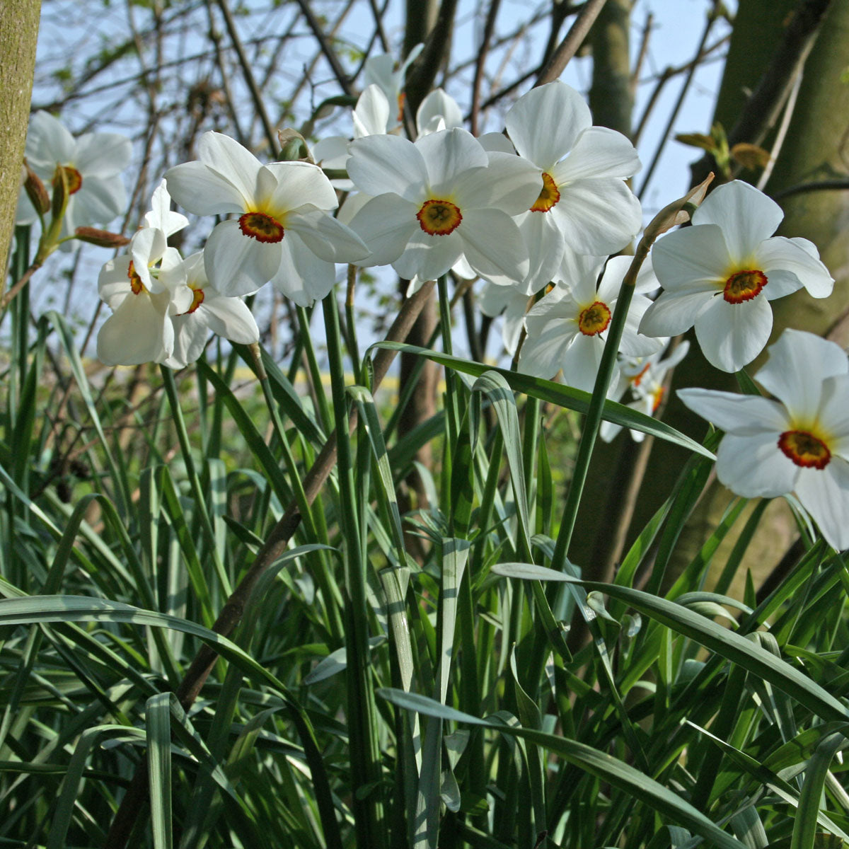 Belofte maakt schuld