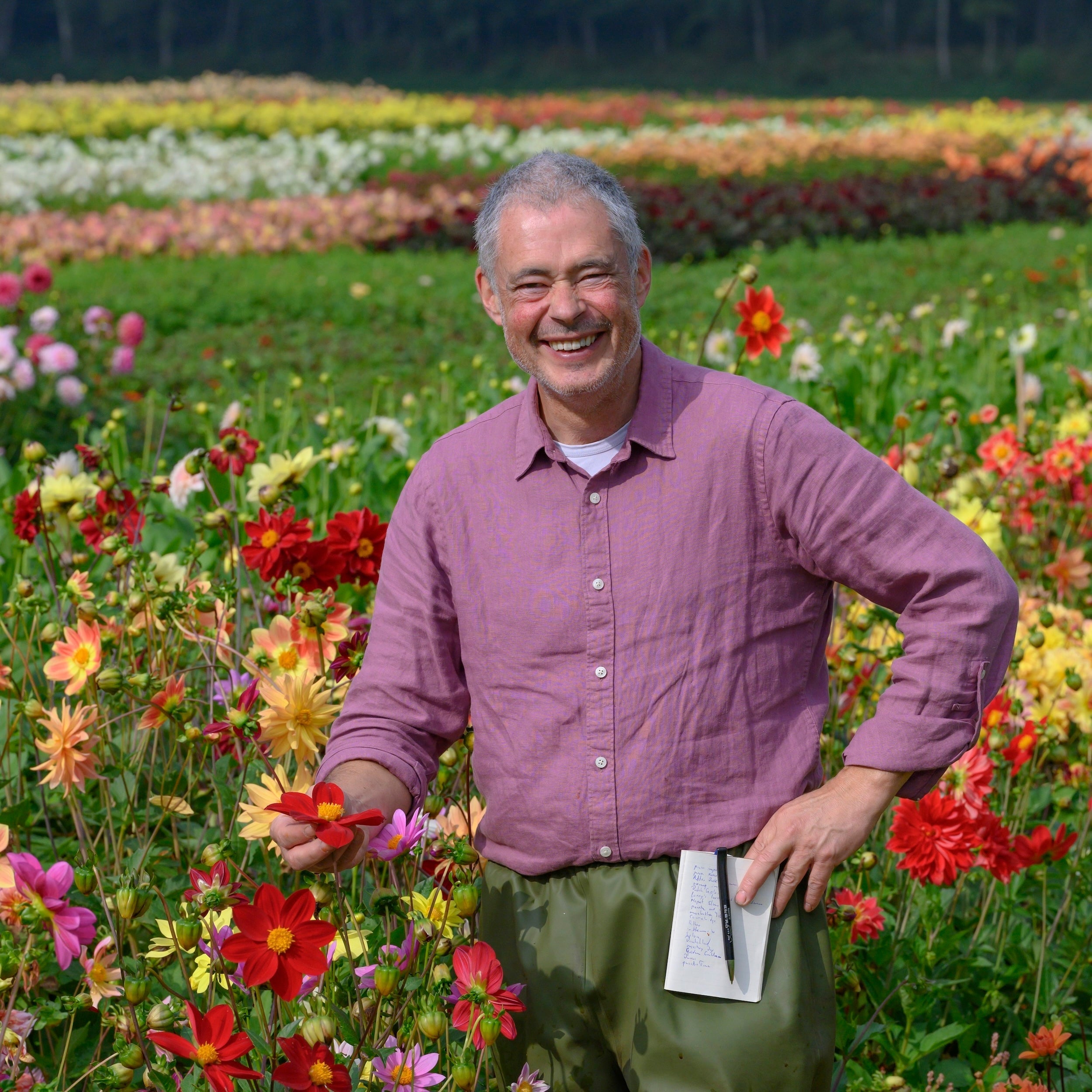 De Dahlia show- en pluktuin!