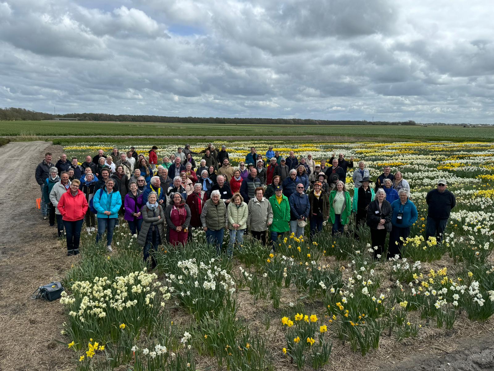 The World Daffodil Tour 2024