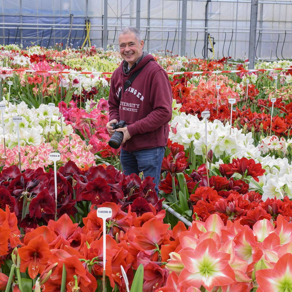 Amaryllis kweker - fluwelnl