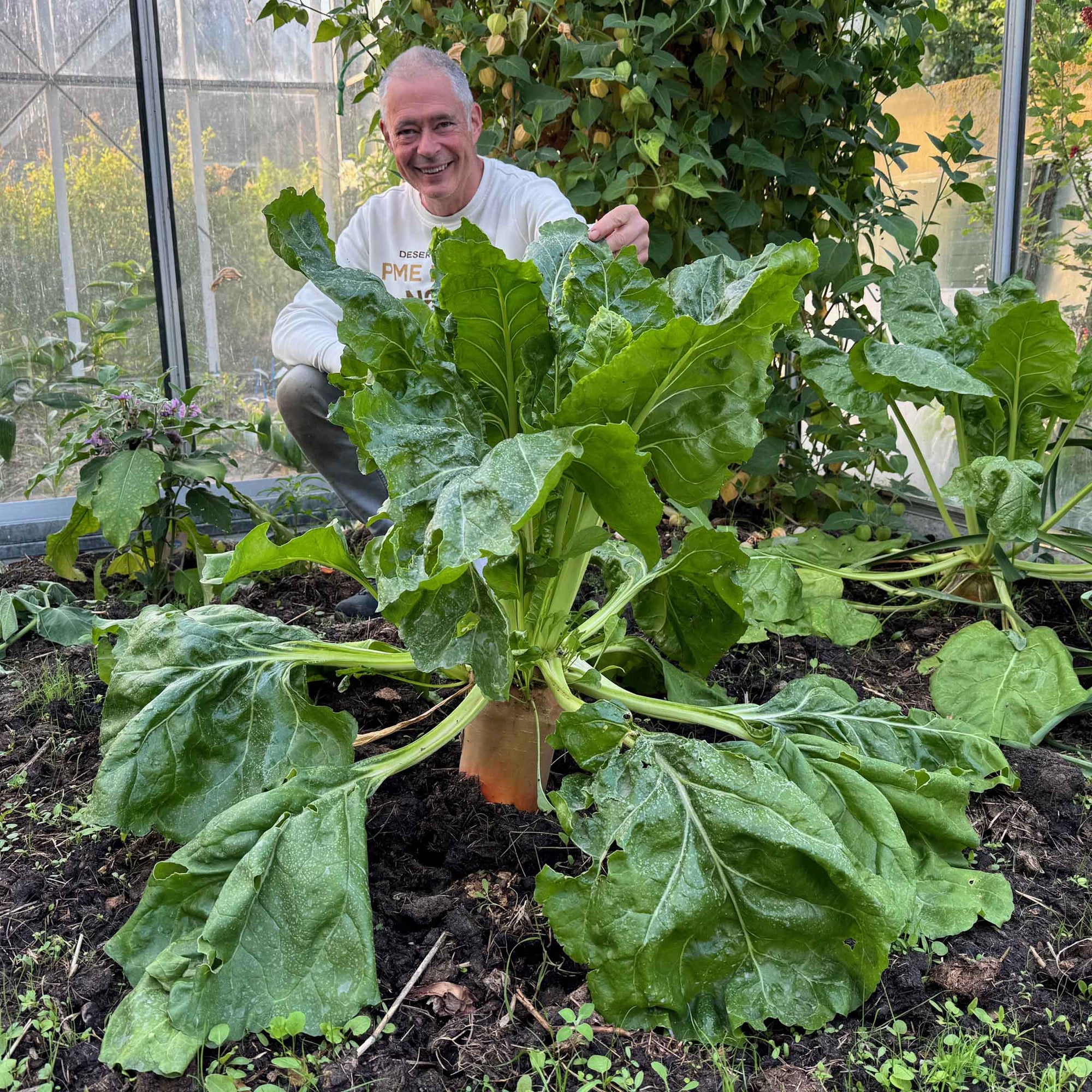 And the Biet goes on - fluwelnl