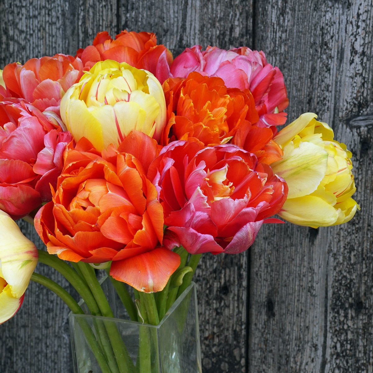 Better Together - fluwelnl