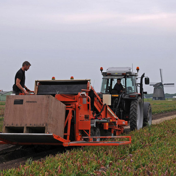 Het tulpen rooien is weer begonnen!