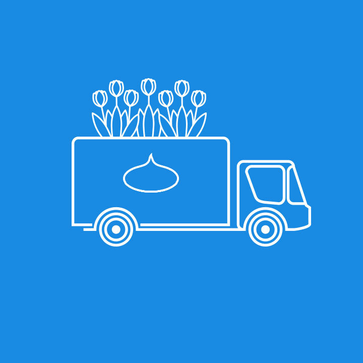 De bollen worden in het najaar verzonden