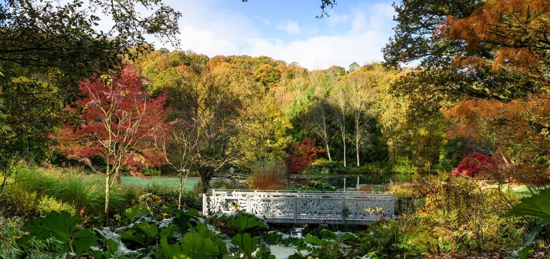 Er mot por in de grond - fluwelnl