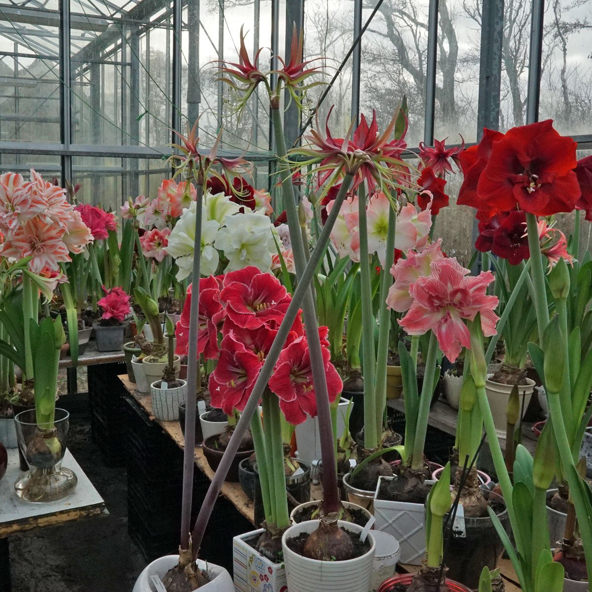 Fantastisch, we hebben een nieuwe webwinkel. - fluwelnl