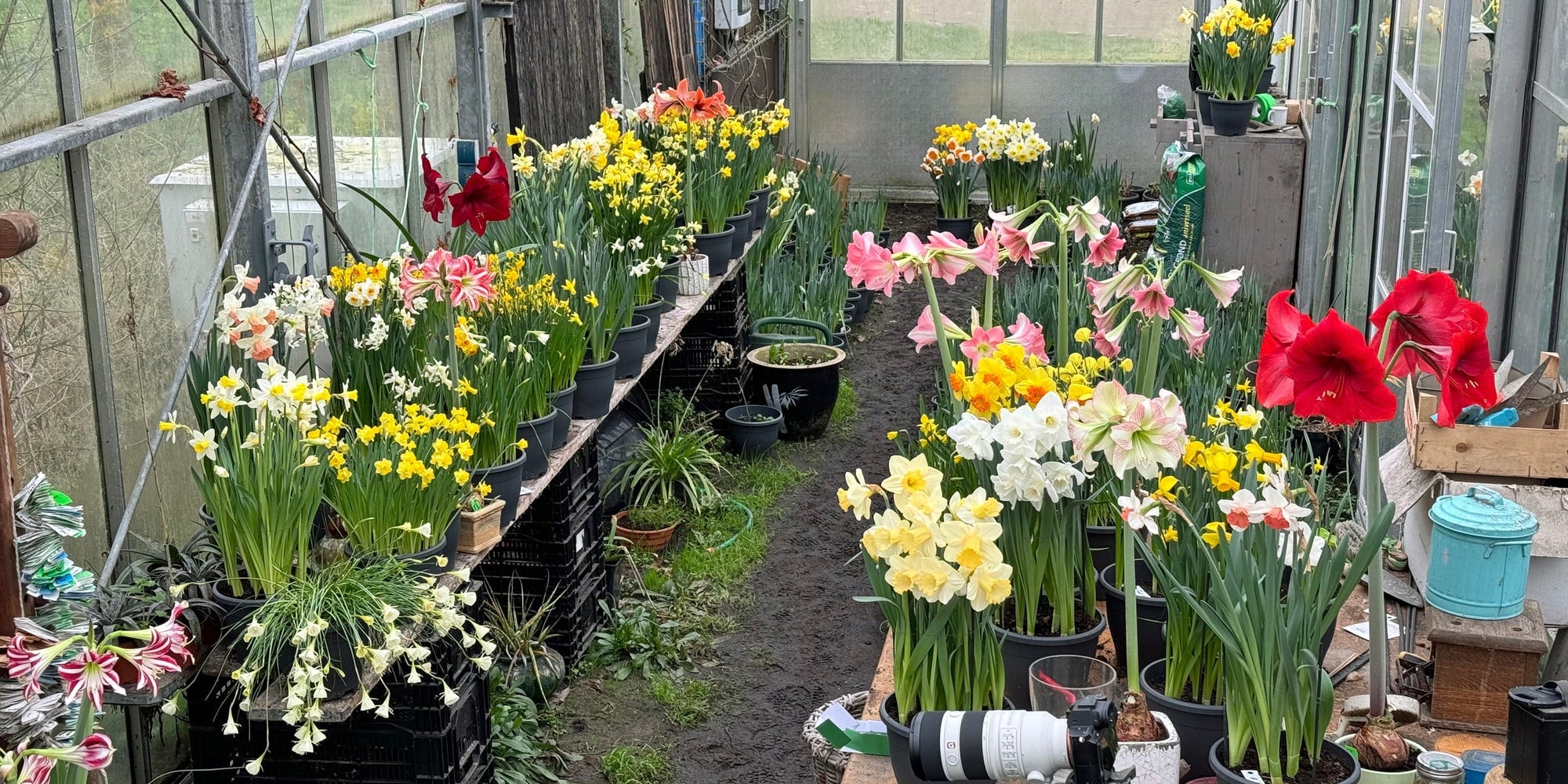 In de spagaat - fluwelnl