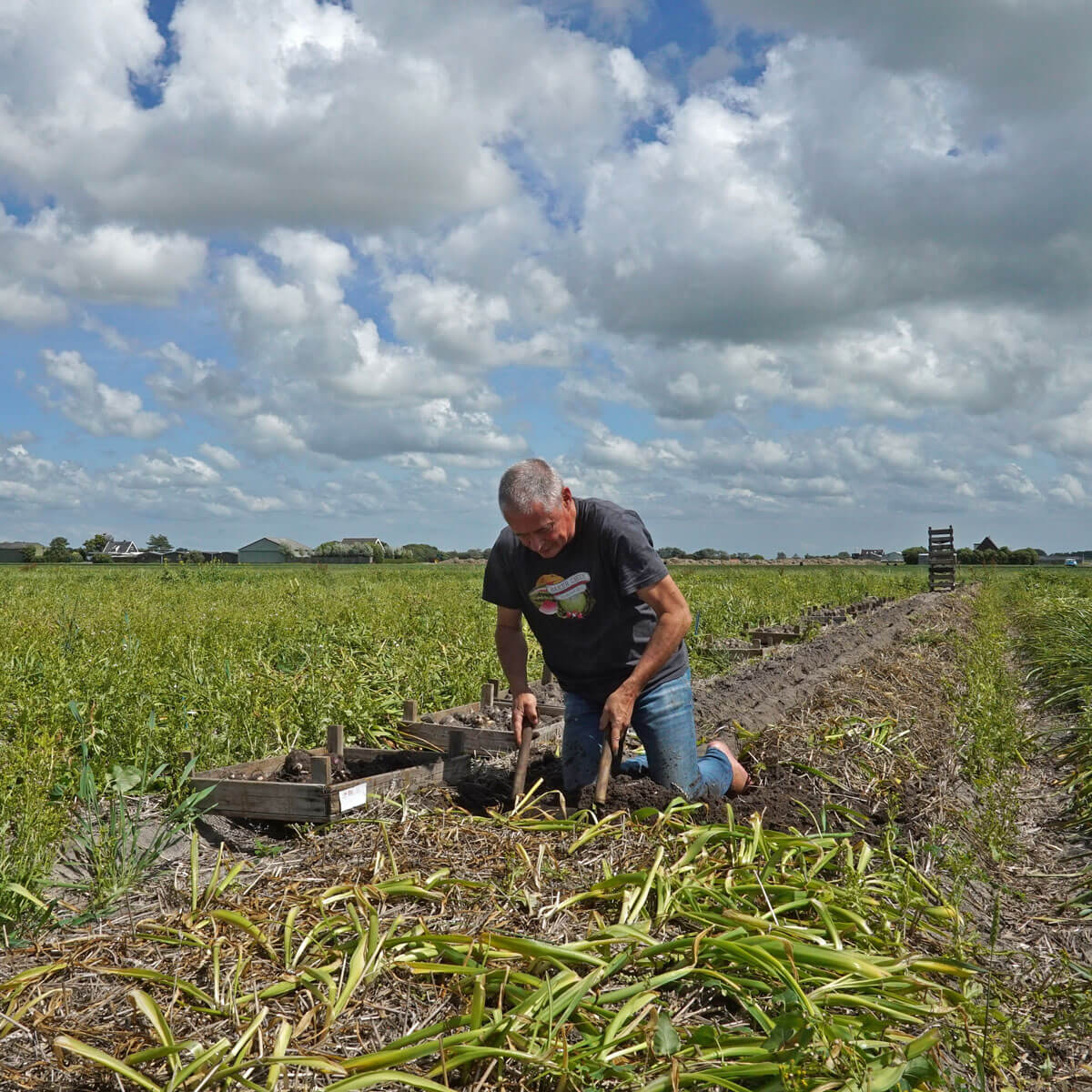 Laatste oproep voor de snoepwinkel - fluwelnl