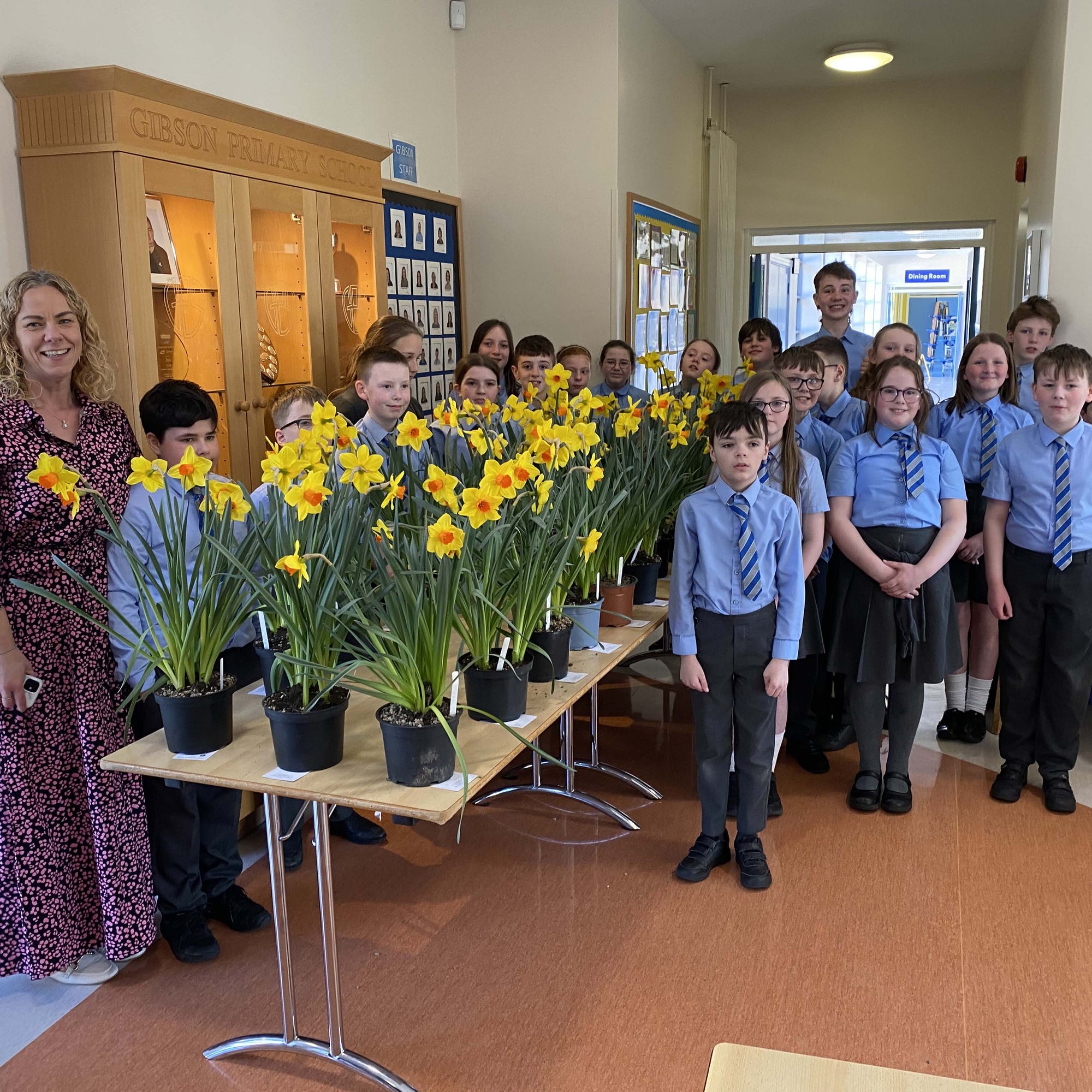 Les geven - fluwelnl