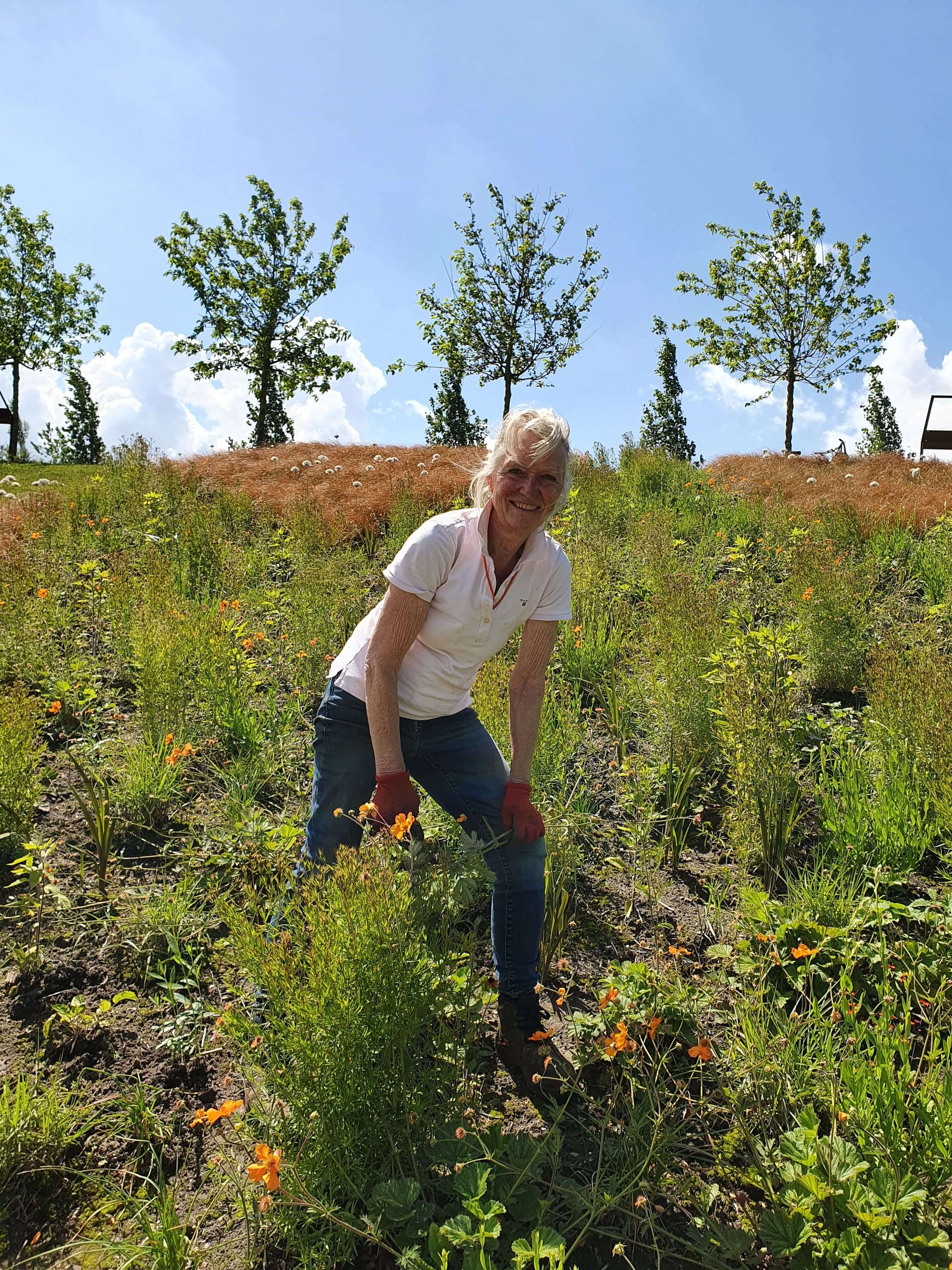 Nu te bestellen en alleen bij ons: De bloembollenbijbel van Jacqueline van der Kloet - fluwelnl