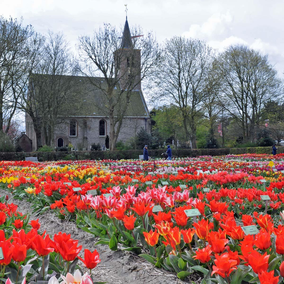 Te jong voor het bejaardentehuis - fluwelnl