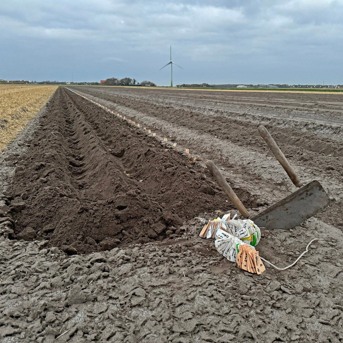 Ze zitten er in - fluwelnl