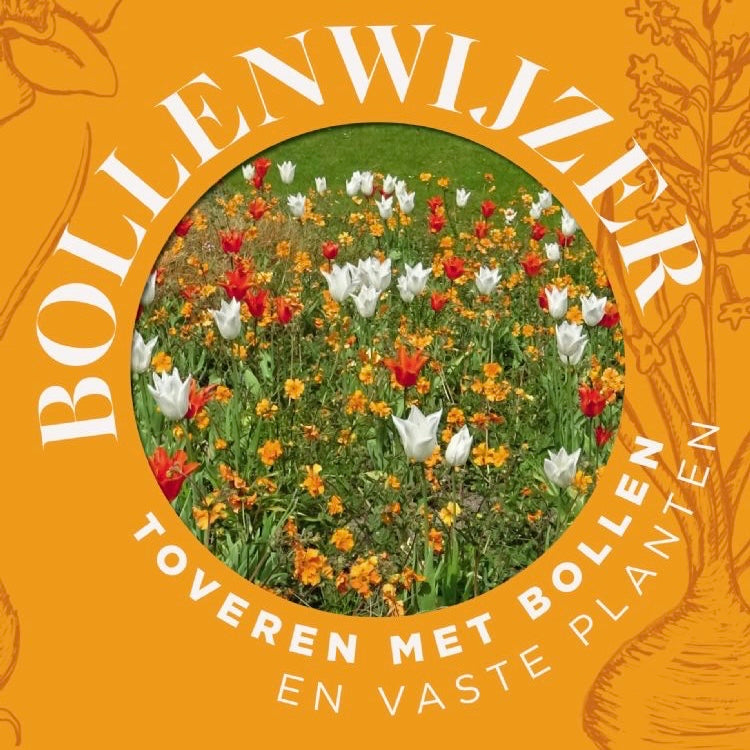 Bollenwijzer Toveren Met Bollen En Vaste Planten