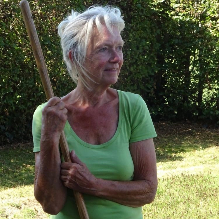 Bollenwijzer Toveren Met Bollen En Vaste Planten