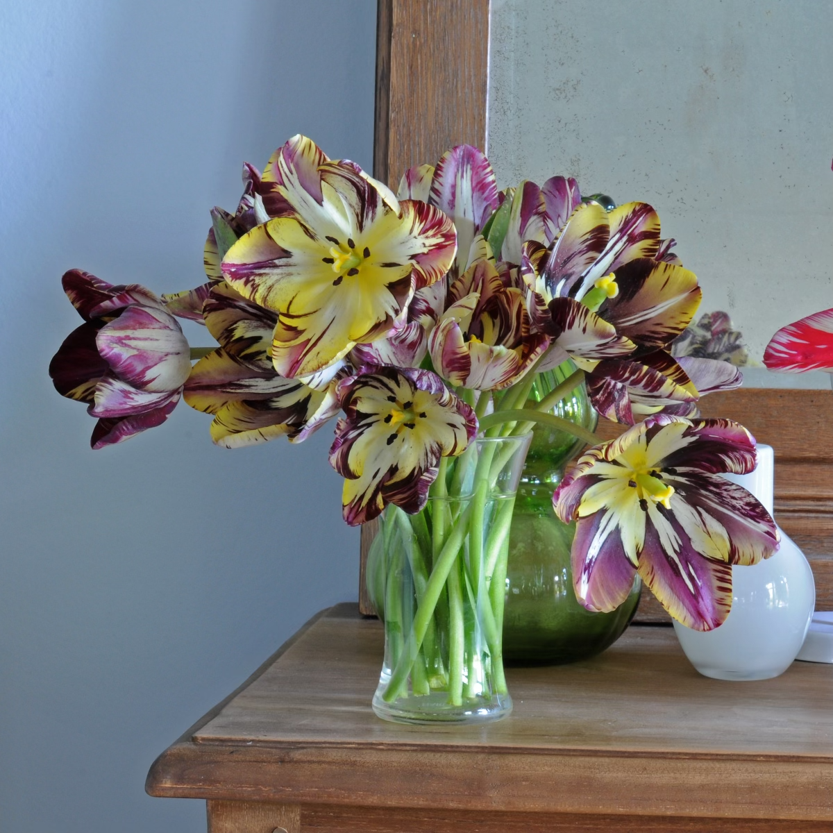 Insulinde - Tulips - Fluwel