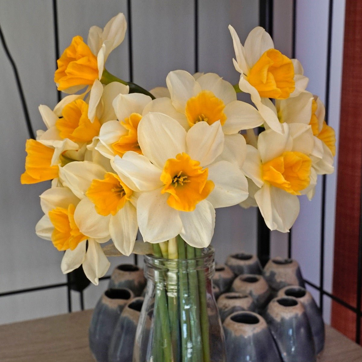 Tangerine Beauty - Narcissus - Fluwel