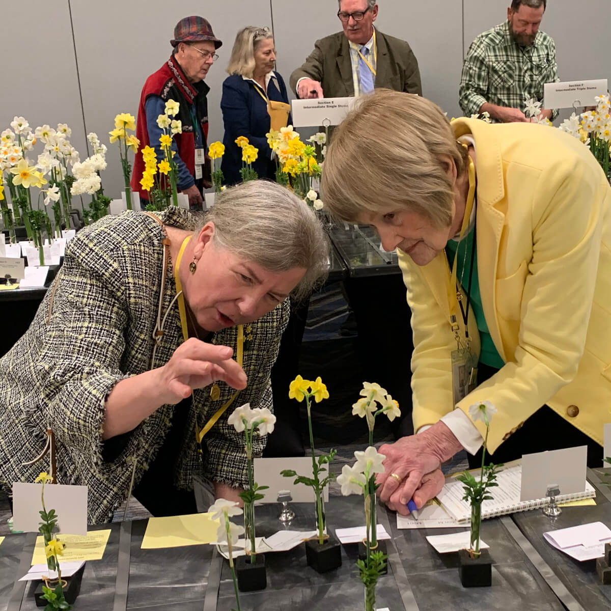 Atlanta Georgia - fluwelnl