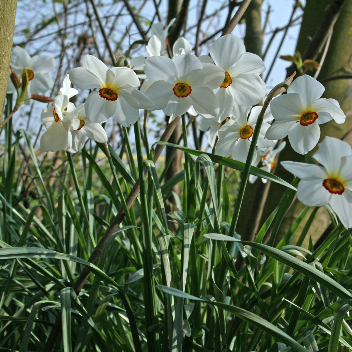 Belofte maakt schuld - fluwelnl
