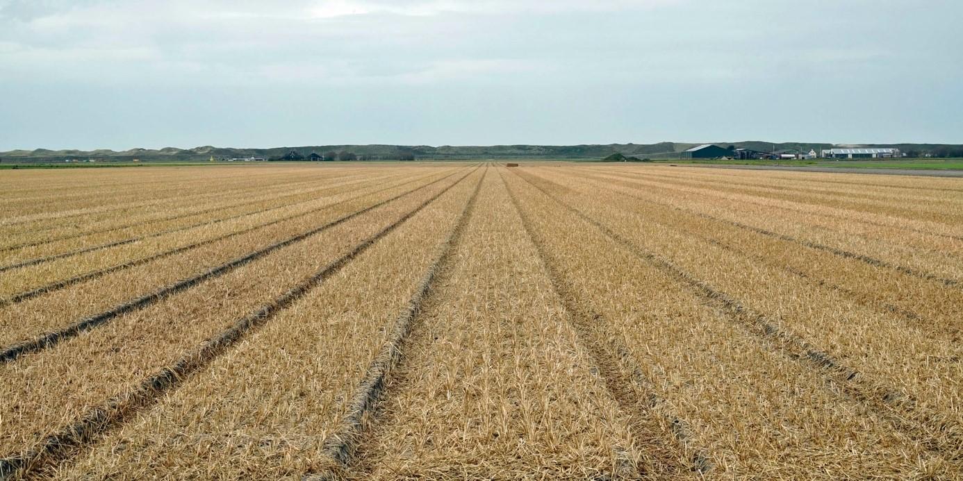 De Goudkust - fluwelnl