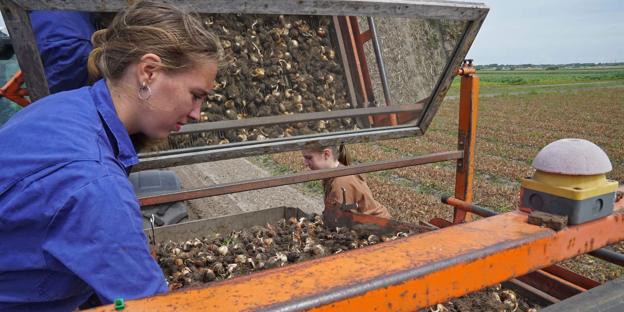 De kluiten zijn best - fluwelnl
