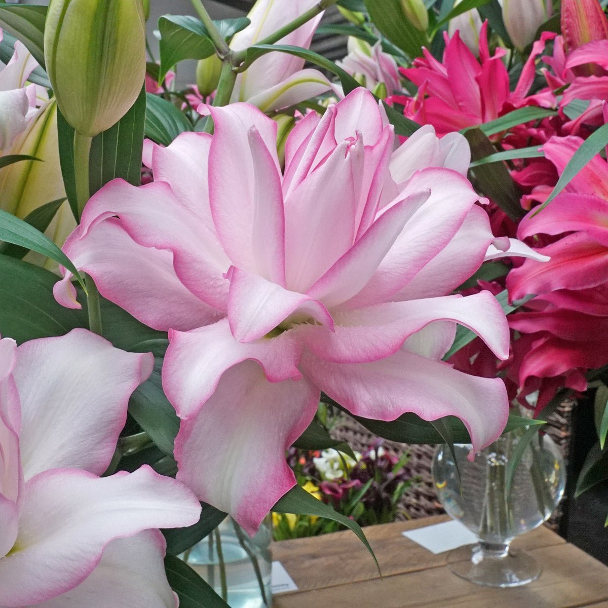 De Lelie verkoop gaat weer van start! - fluwelnl