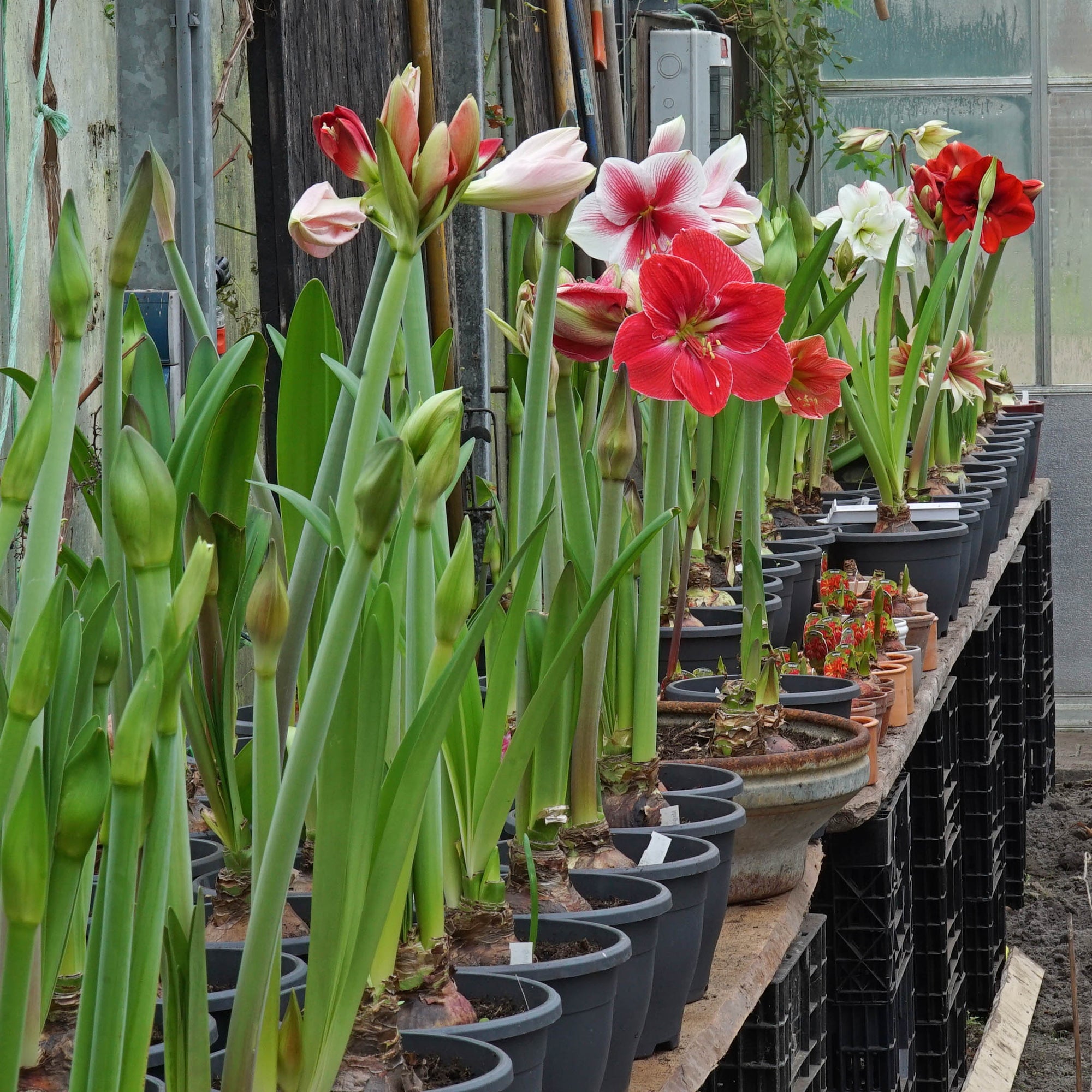 Geen nieuws is goed nieuws - fluwelnl