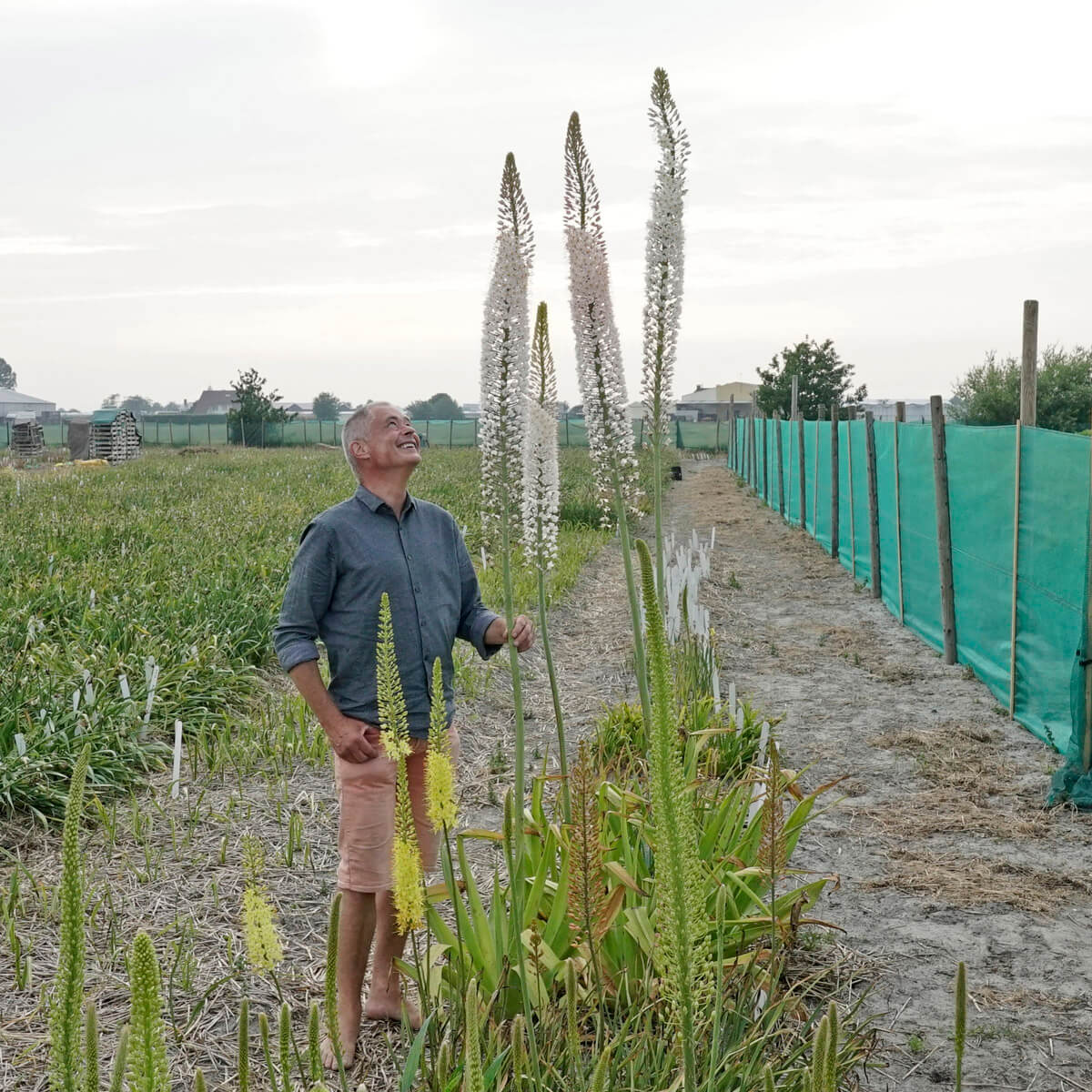 Het is herfst, het feest gaat beginnen - fluwelnl