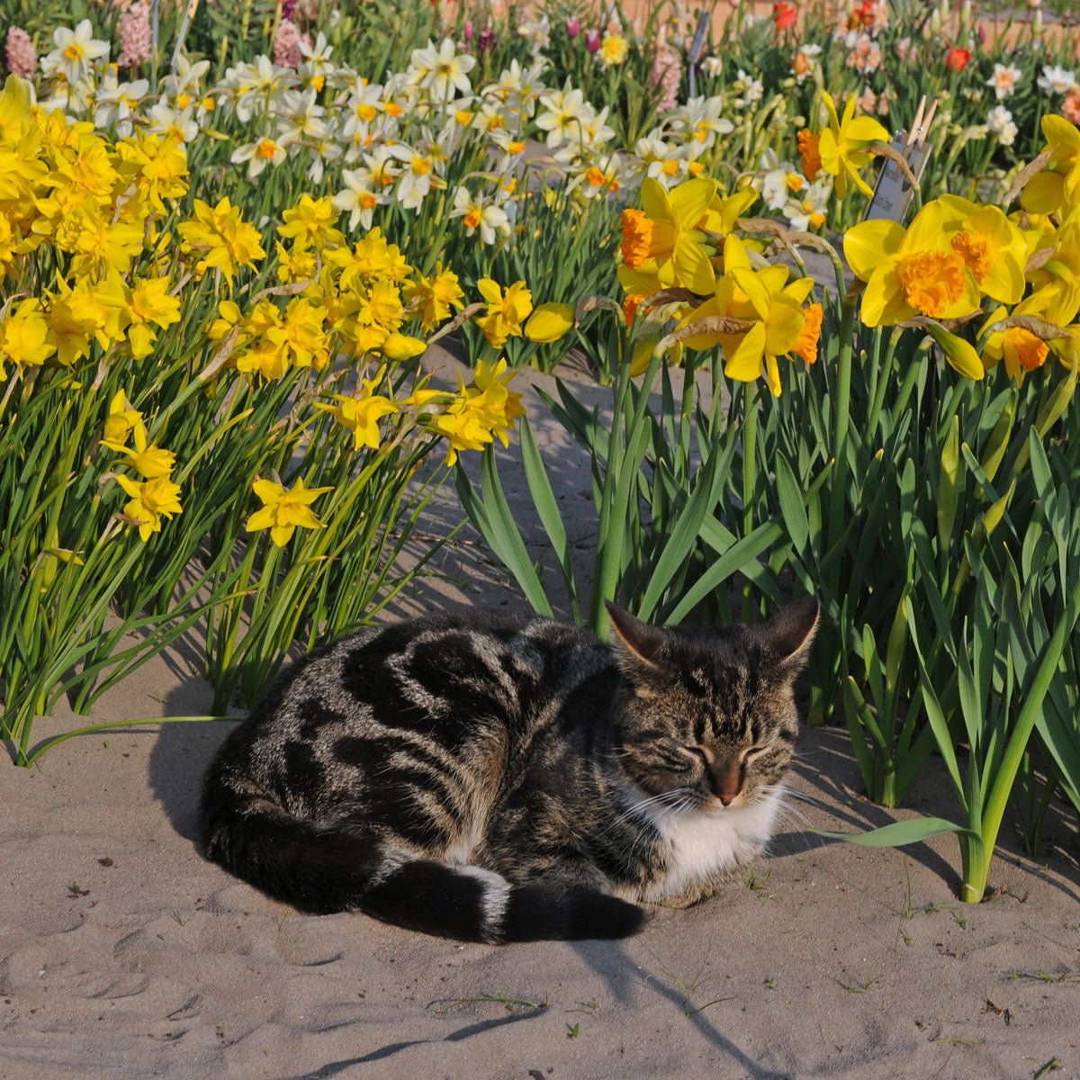 Ik ga u even een lesje leren - fluwelnl