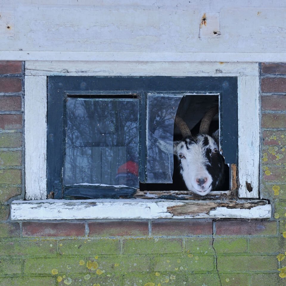 Kijkplezier 🎬 - fluwelnl