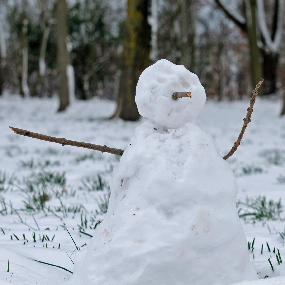 Koud hè? - fluwelnl