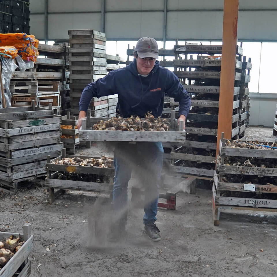 Neus vol stof - fluwelnl