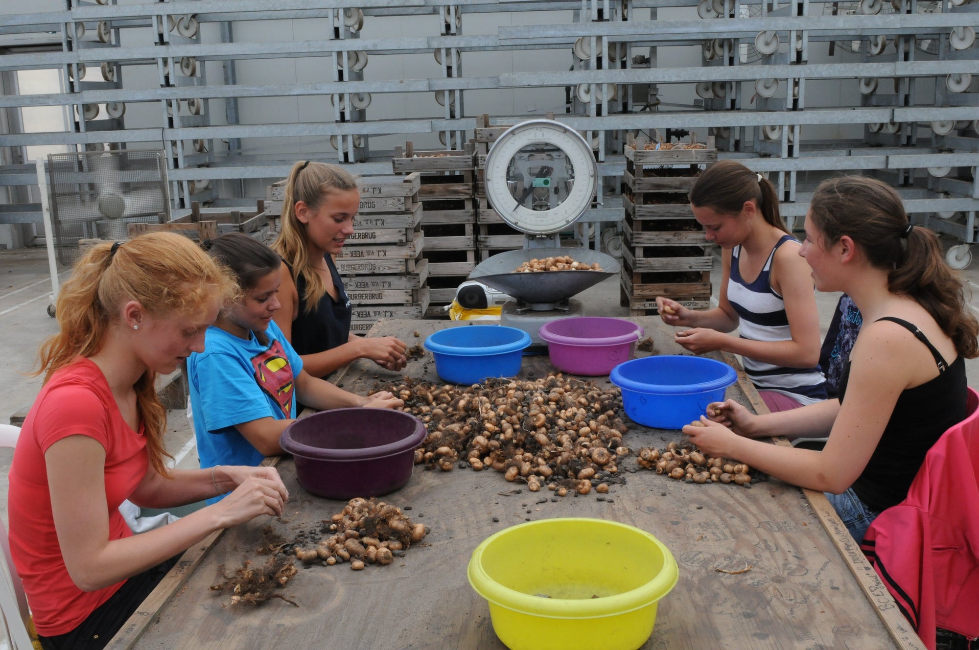 Nieuwsbrief van Pien - fluwelnl