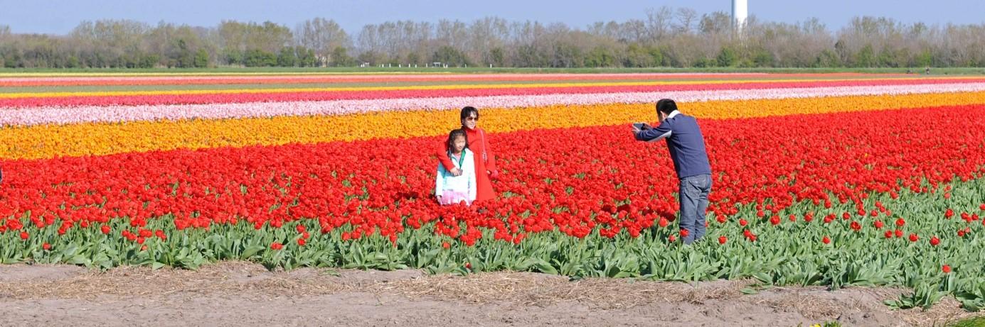 Wat is mooi? - fluwelnl