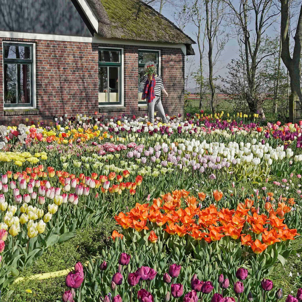 Wat plant ik in de tuin deze herfst? - fluwelnl
