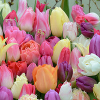 Mengsels en combinaties