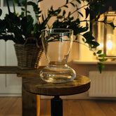 Amaryllis vaas met Amaryllis bol