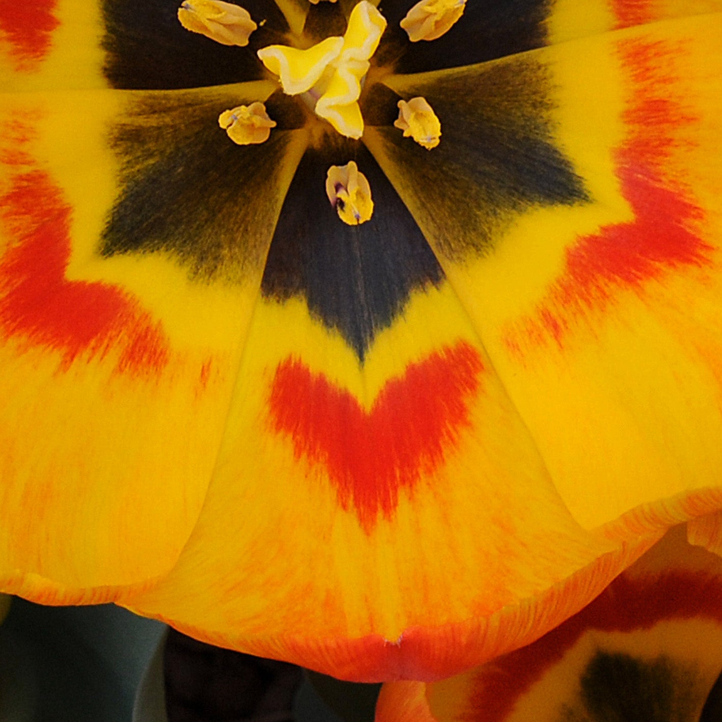 Flair