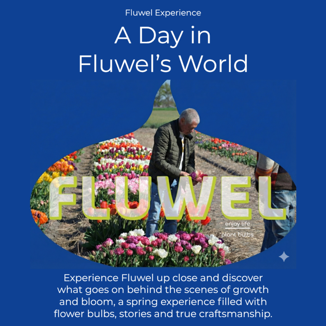 Fluwel Experience (‘27) - voorjaarsbeleving