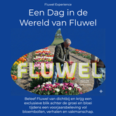 Fluwel Experience - Experience - Fluwel