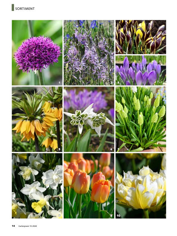 GartenPRAXIS