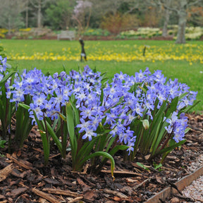 Miss Nixmix - Mixes - Fluwel