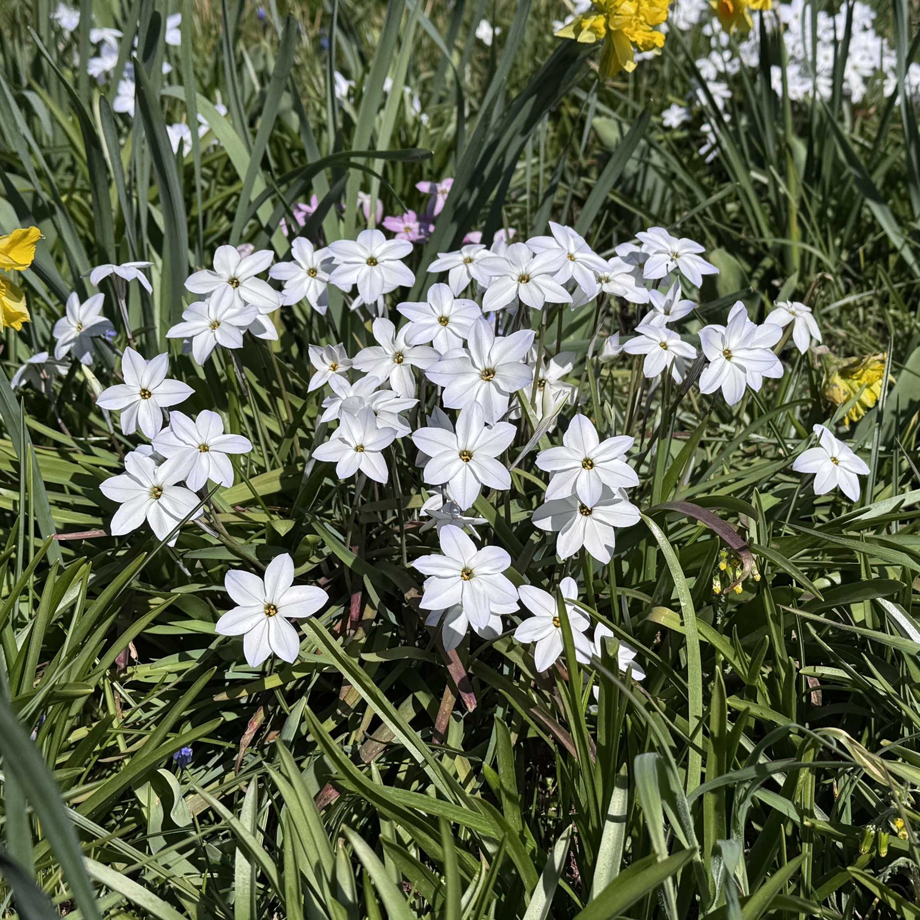 Miss Nixmix - Mixes - Fluwel