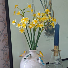 Oma - Special Narcissus - Fluwel