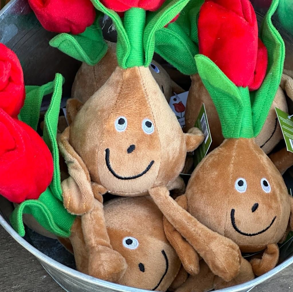 Zwiebol knuffel - pluchen knuffel - Fluwel