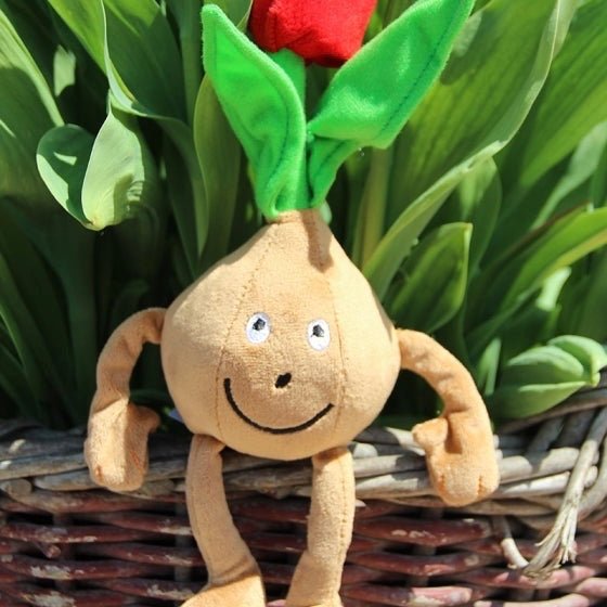 Zwiebol knuffel - pluchen knuffel - Fluwel
