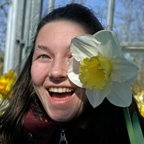 The Godfather - Special Narcissus - Fluwel
